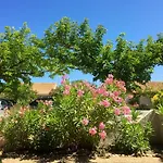 Charmante Maison Familiale A Avec Terrasse Ensoleillee